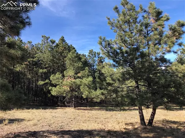 Beulah, CO 81023,0 Ponderosa Pine DR