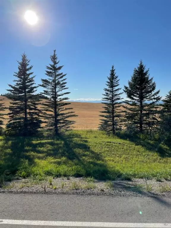 Rural Foothills County, AB T0L 0A0,Lot 4 16 St W