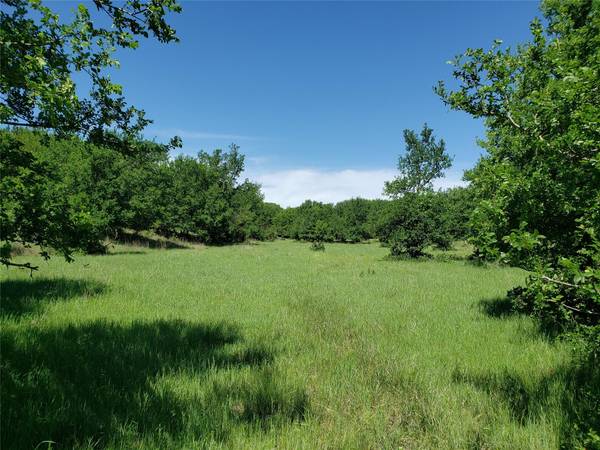 Lot 30 Shooting Star Ranch,  Lometa,  TX 76853