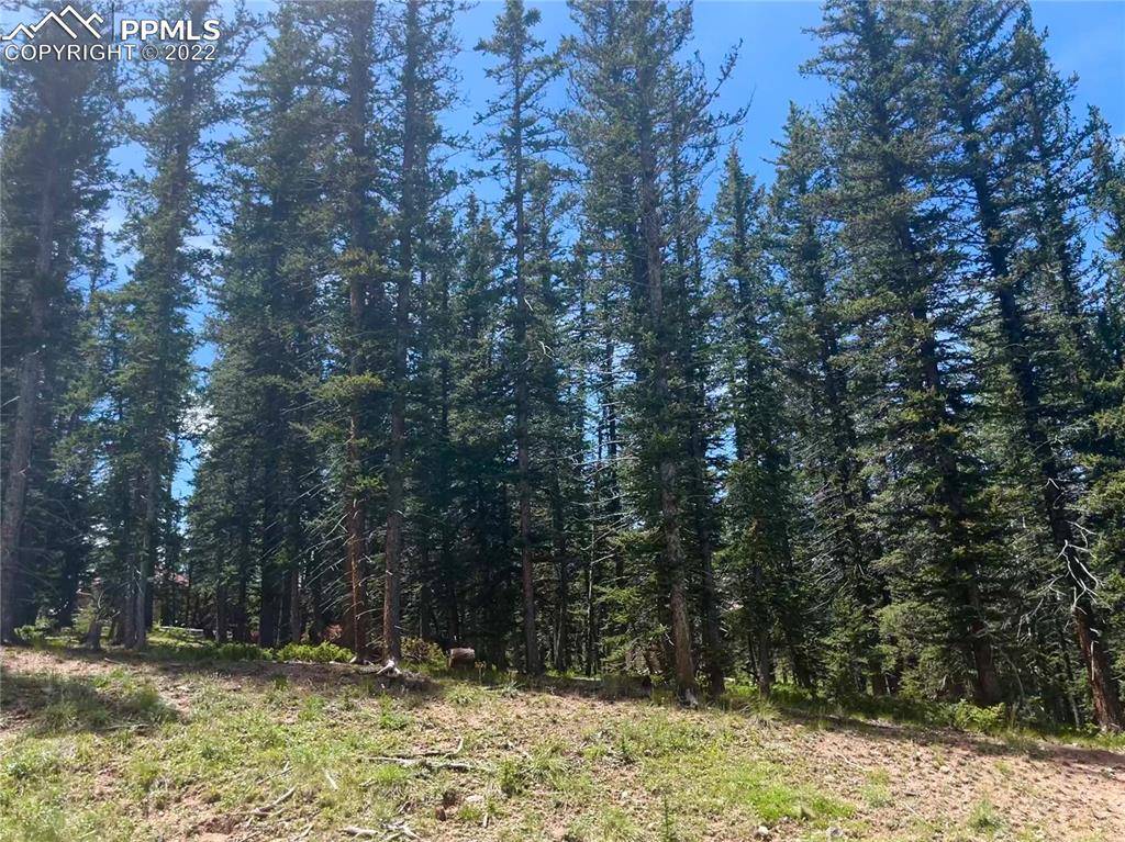 402 Silvermoon HTS, Divide, CO 80814
