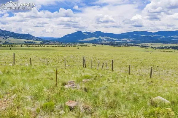 Guffey, CO 80820,301 Lakeview TRL