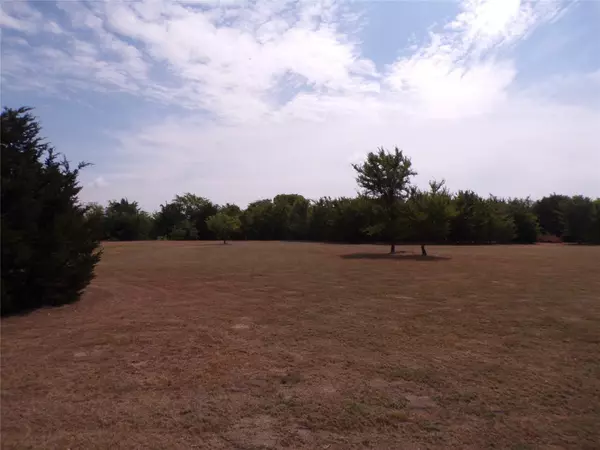 Corsicana, TX 75109,Lot 146 La Bota