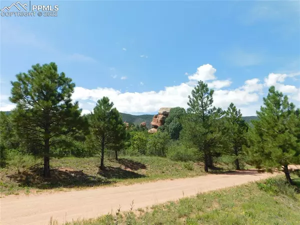 Larkspur, CO 80118,6426 Torrey Pines DR