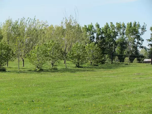 Rural Ponoka County, AB T0C 2J0,420054 Range Road 283 #Lot 16