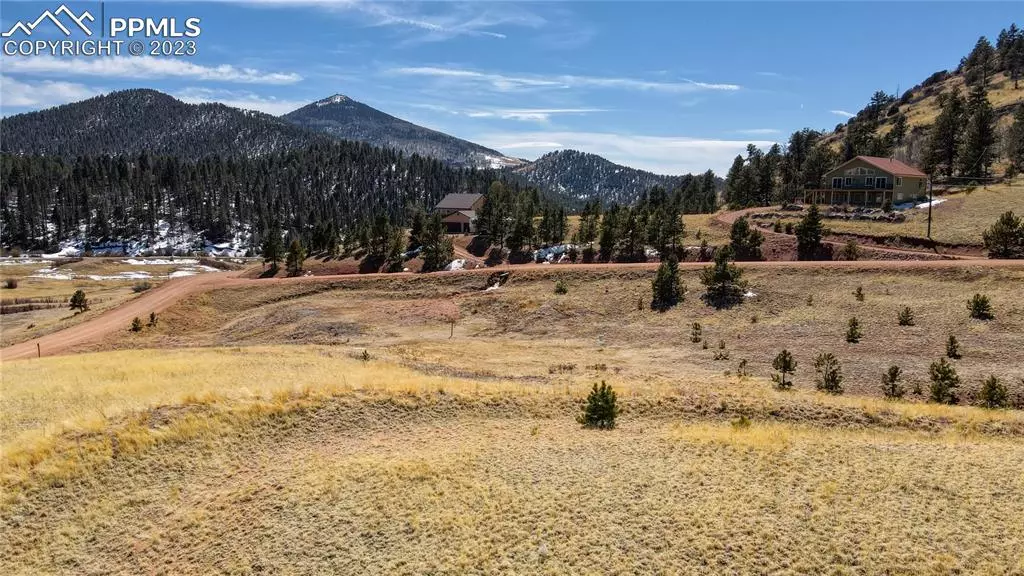 363 Nickel Plate RD, Cripple Creek, CO 80813