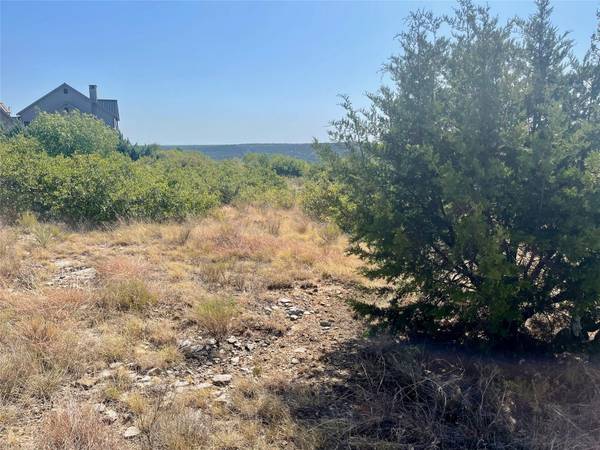 LOT 120 Oak Tree Drive, Possum Kingdom Lake, TX 76449