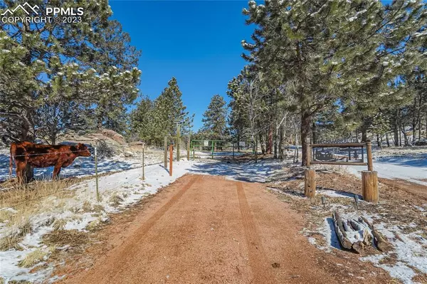 Florissant, CO 80816,544 Chaparral TRL