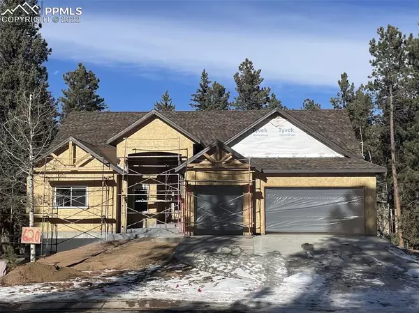 Woodland Park, CO 80863,620 Chipmunk DR