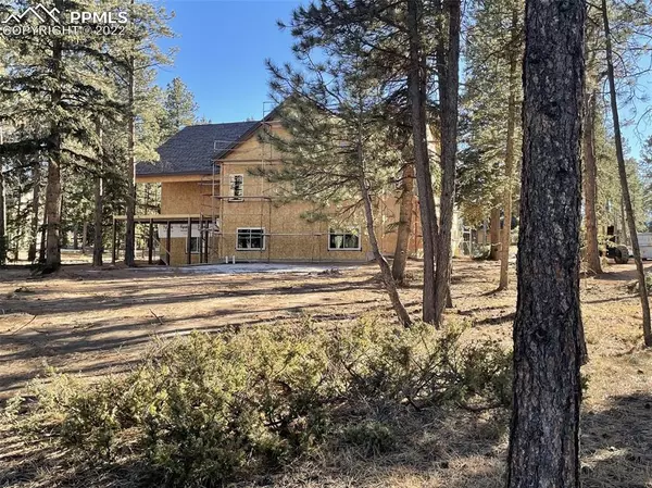 Woodland Park, CO 80863,620 Chipmunk DR