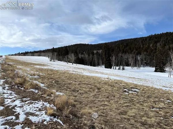 Hartsel, CO 80449,Kaufman RD