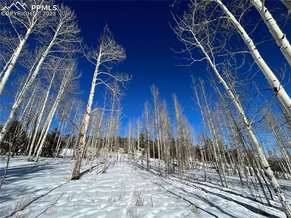 Hartsel, CO 80449,Kaufman RD