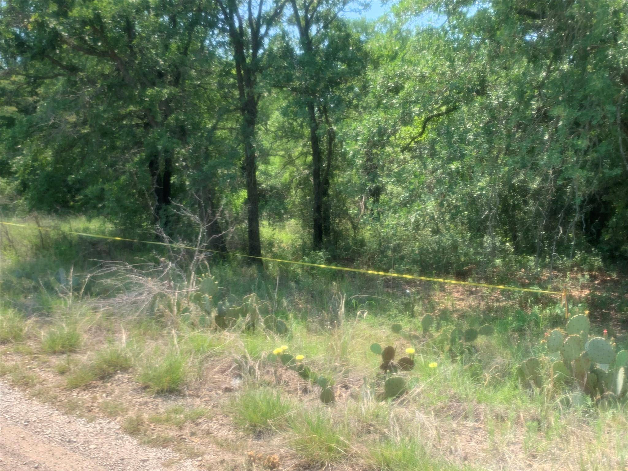 Runaway Bay, TX 76426,00 Lark Meadow Drive