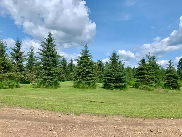 Rural Lac La Biche County, AB T0A 2C0,16405 TWP RD 652,  Caslan