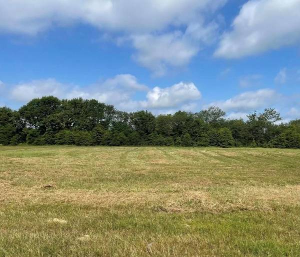 TBD Lot 1 VZ County Road 3416, Wills Point, TX 75169