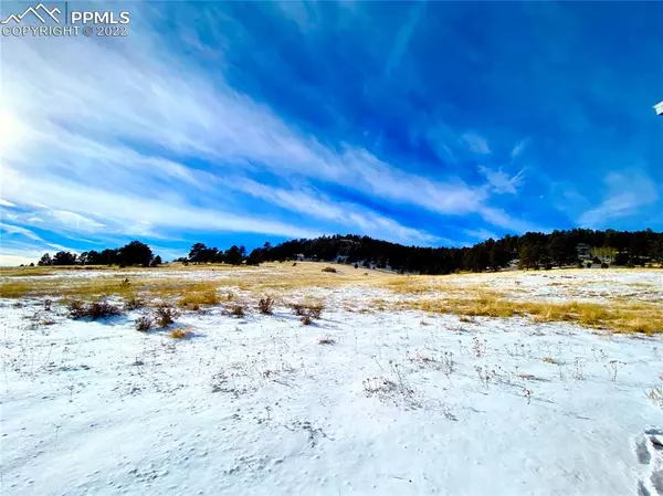 Cripple Creek, CO 80813,64 Penrose CIR