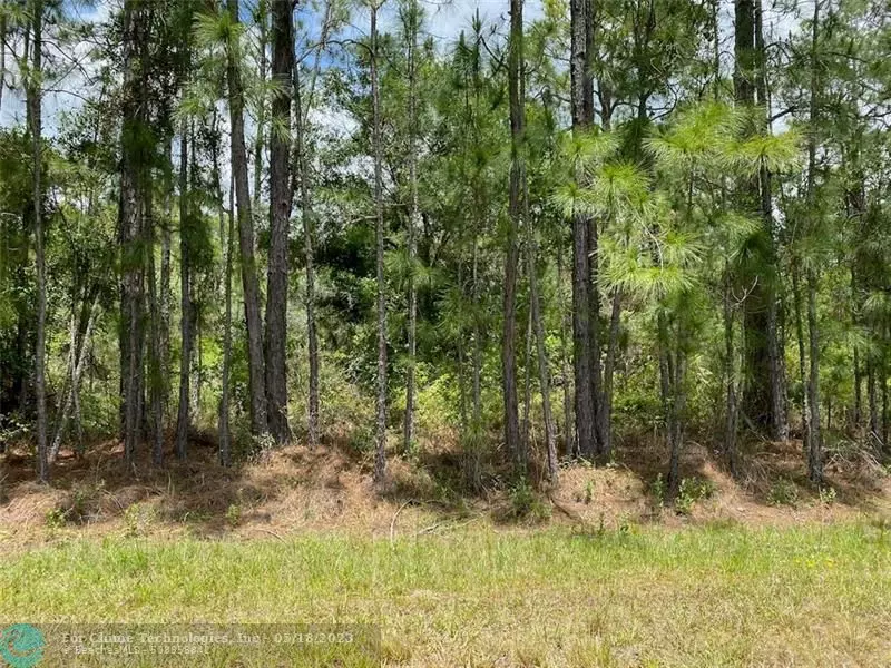 Lot 9 Plumosa Drive, Other City - In The State Of Florida, FL 33855