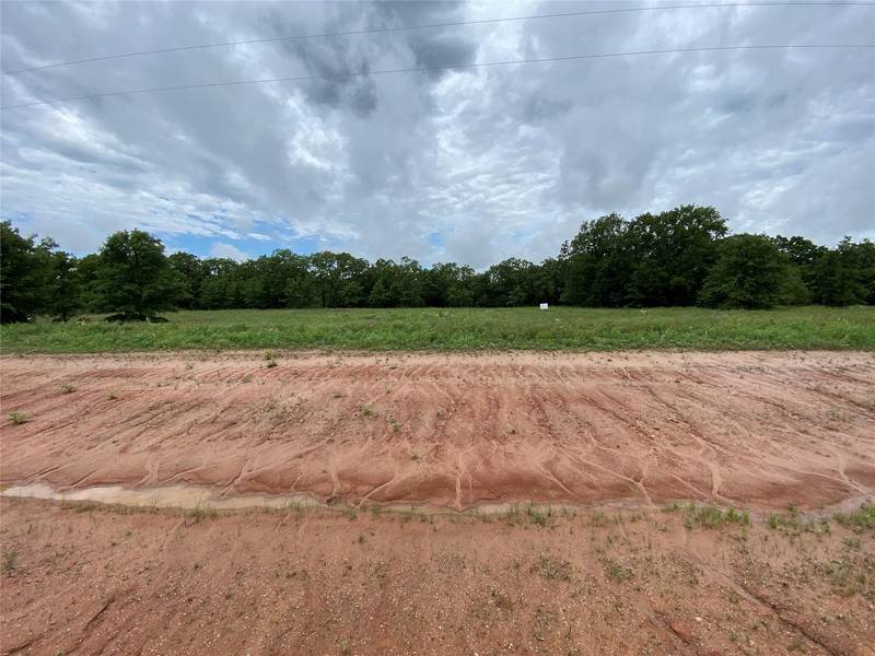 113 Coyote Lane, Alvord, TX 76225