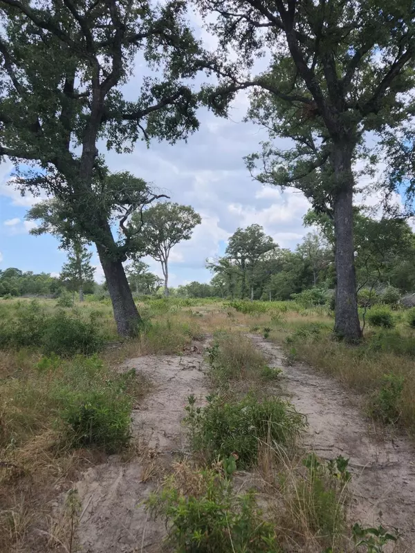 Cayuga, TX 75832,25 Acres ACR 493 County Road