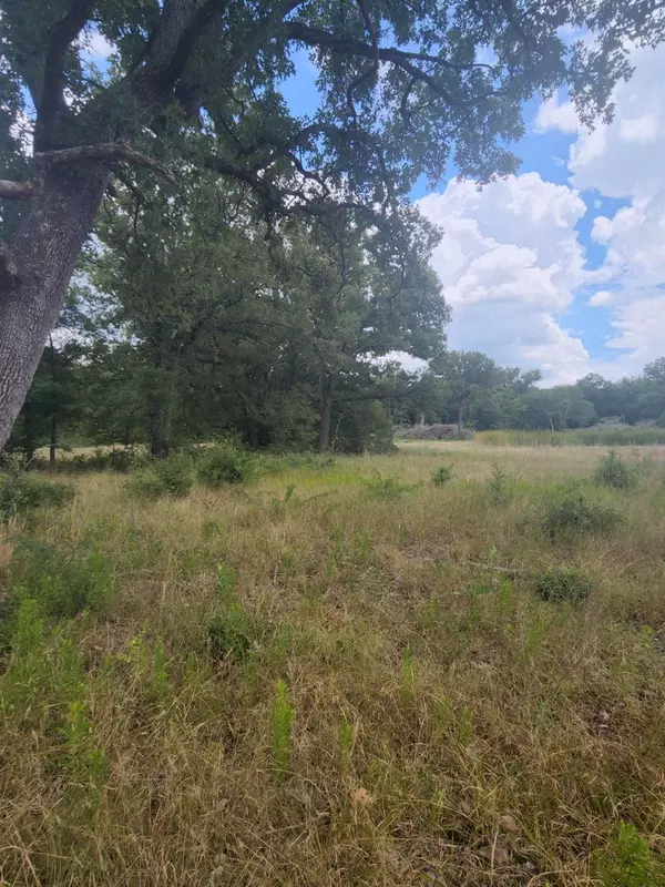 Cayuga, TX 75832,25 Acres ACR 493 County Road