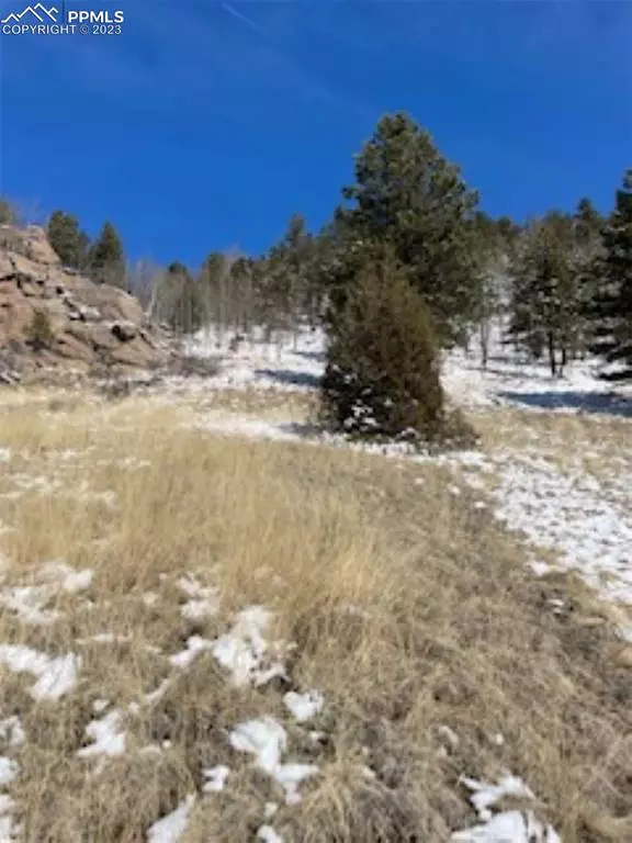 Cripple Creek, CO 80813,807 Carlton DR