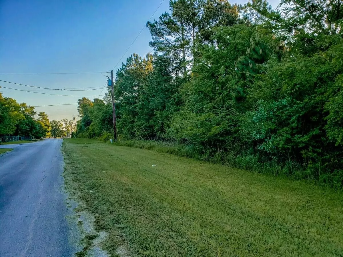 Willis, TX 77318,Lot 22 Midway Drive