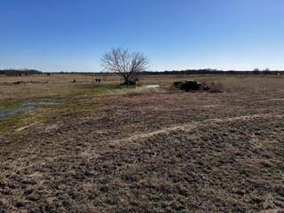 TBD Lot #43 NW County Road 1290, Corsicana, TX 75119