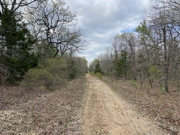 49242 County Road 45600, Blossom, TX 75416