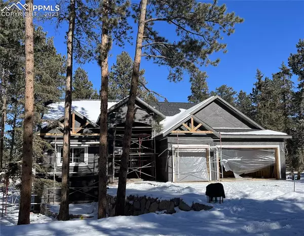 Woodland Park, CO 80863,620 Meadowlark LN