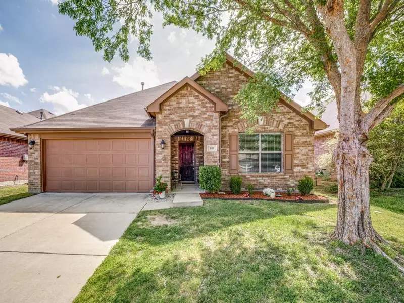 809 Hawk Valley Drive, Little Elm, TX 75068