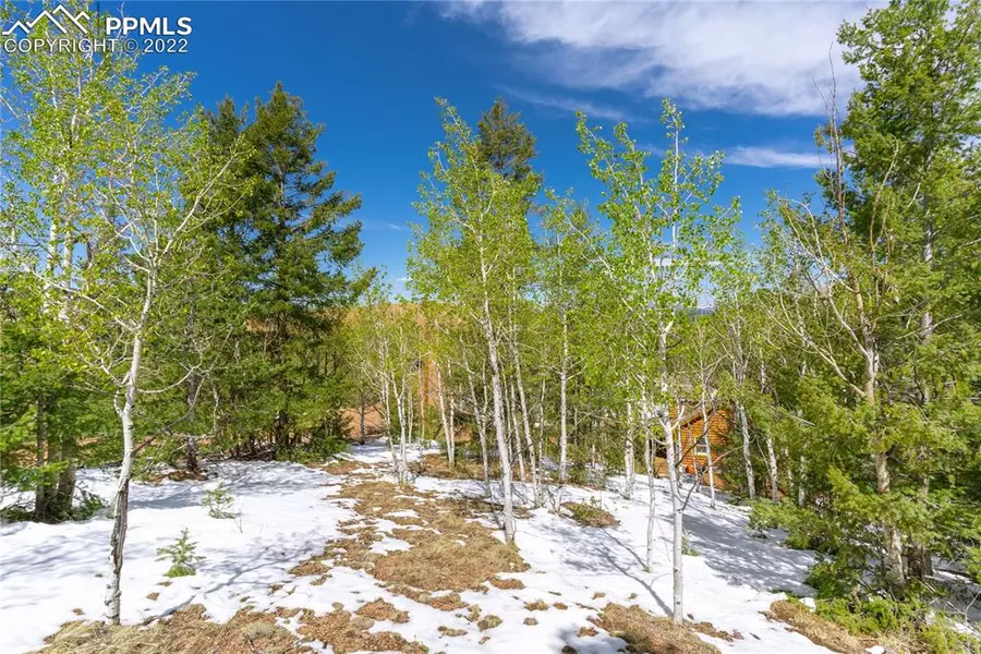 132 Ajax CT, Cripple Creek, CO 80816