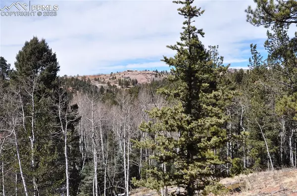 Cripple Creek, CO 80813,32 Vivenda WAY