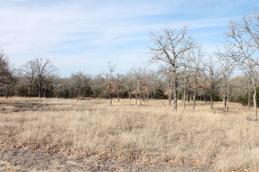 Lot 54 Falcon Drive, Glen Rose, TX 76043