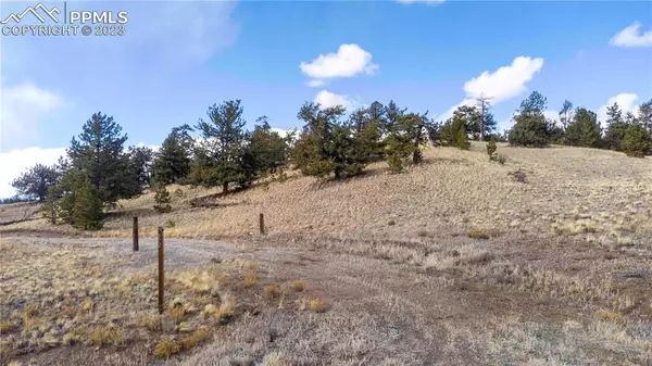 2972 Fitzsimmons RD, Hartsel, CO 80449