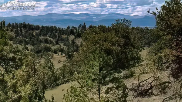 Hartsel, CO 80449,2972 Fitzsimmons RD