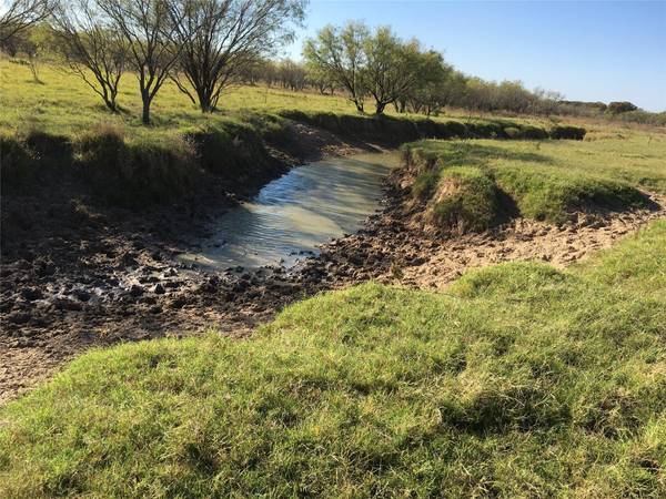 66 +/- ac County Road 428, Rising Star, TX 76471