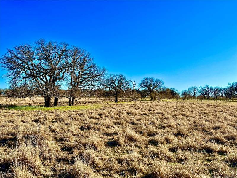 Tract D W Pleasant Valley Road, Henrietta, TX 76365