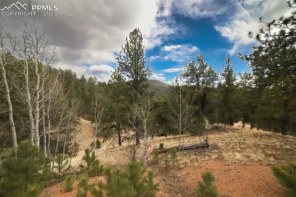 1440 Pikes Peak DR, Divide, CO 80814