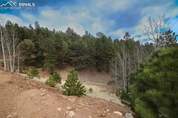 Divide, CO 80814,1440 Pikes Peak DR