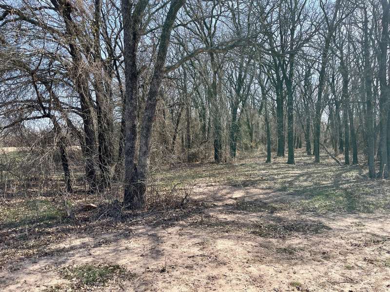 Lot 3 Fm 455, Montague, TX 76251