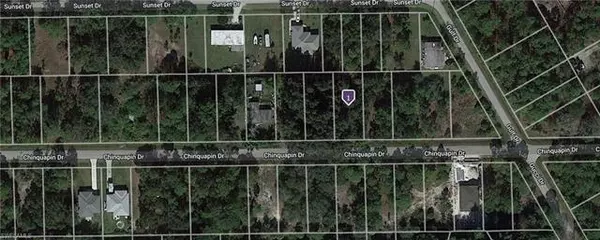 Punta Gorda, FL 33955,28234 Chinquapin DR