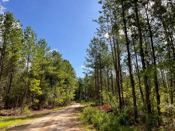 Zavalla, TX 75949,000 Slim Palmer Road