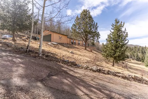 Cripple Creek, CO 80813,650 Anges DR