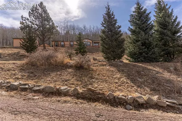 Cripple Creek, CO 80813,650 Anges DR