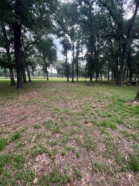 Lot # 478 Saint Andrews Drive, Mabank, TX 75156