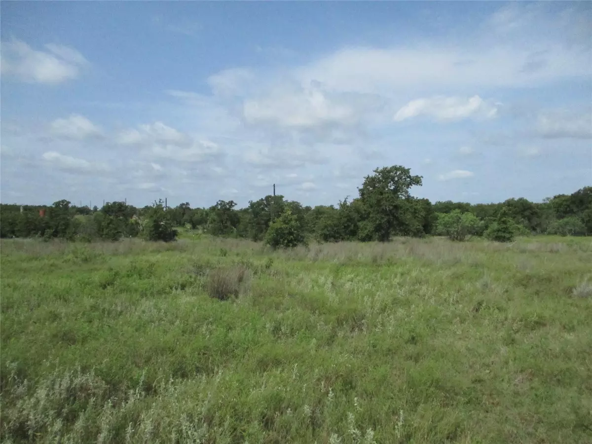 Bryson, TX 76427,10 AC Birdwell