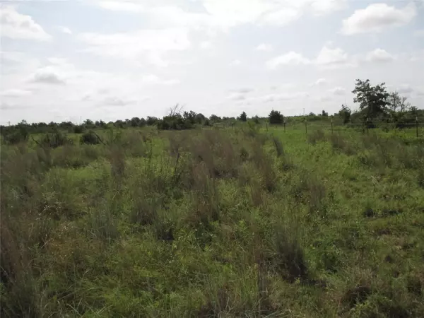 Bryson, TX 76427,10 AC Birdwell