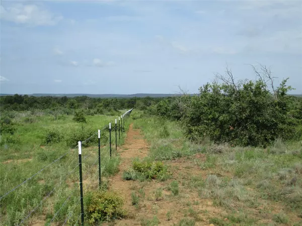 Bryson, TX 76427,10 AC Birdwell