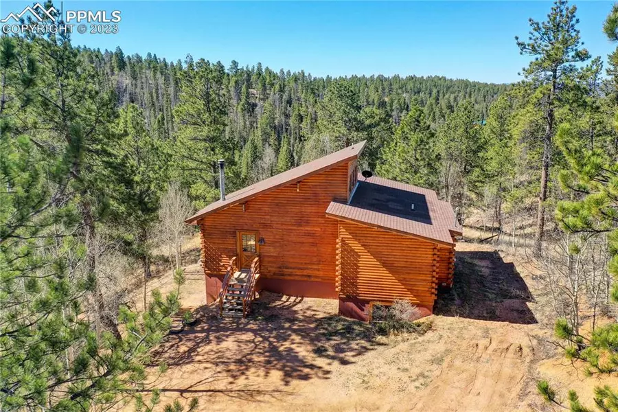 715 W Bison Creek TRL, Florissant, CO 80816