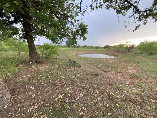 Gorman, TX 76454,10+- Ac TBD County Road 327