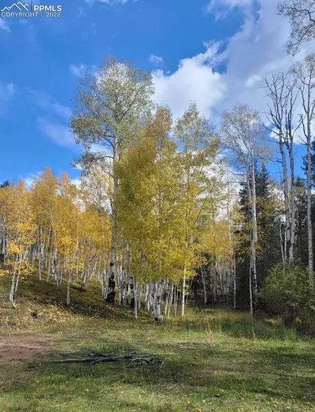 48 Vivenda WAY, Cripple Creek, CO 80813